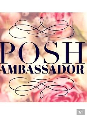 Posh Ambassadpr
